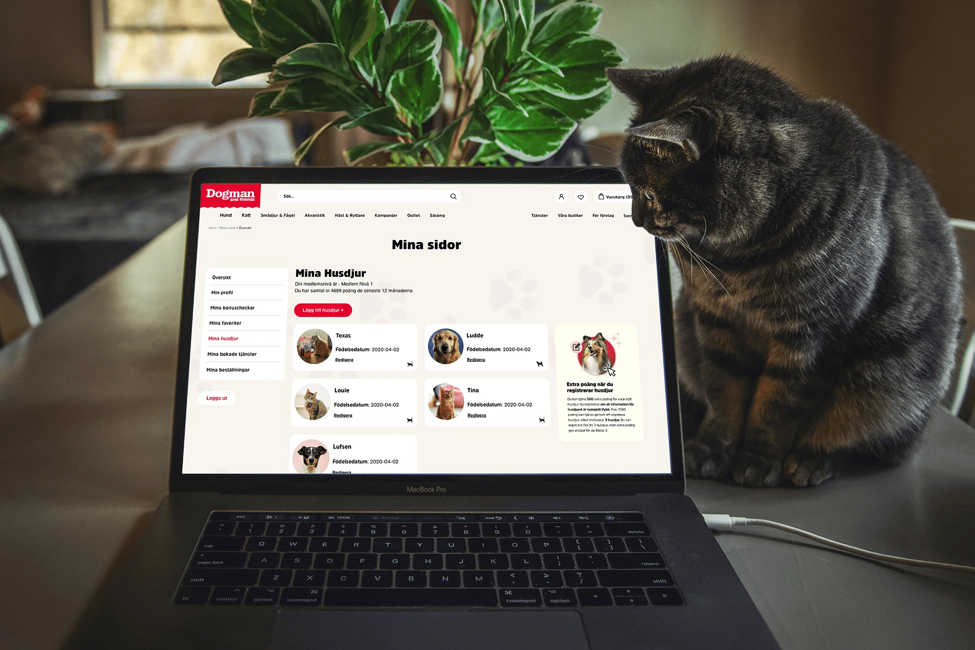 dogman loyalty laptop02