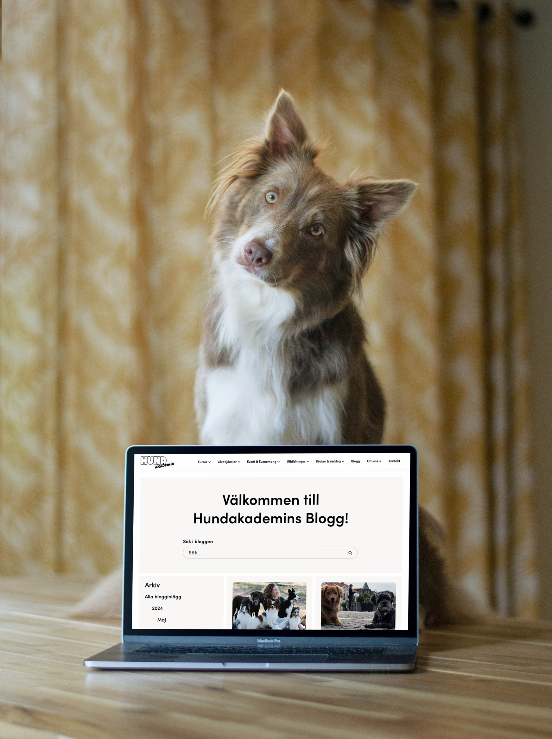 Hundakademin på laptop