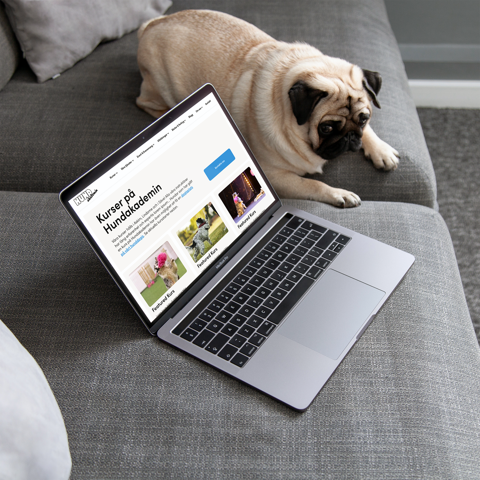 Hundakademin på laptop